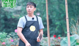 吃瓜爆料刘宪华何炅,娱乐圈幕后真相曝光